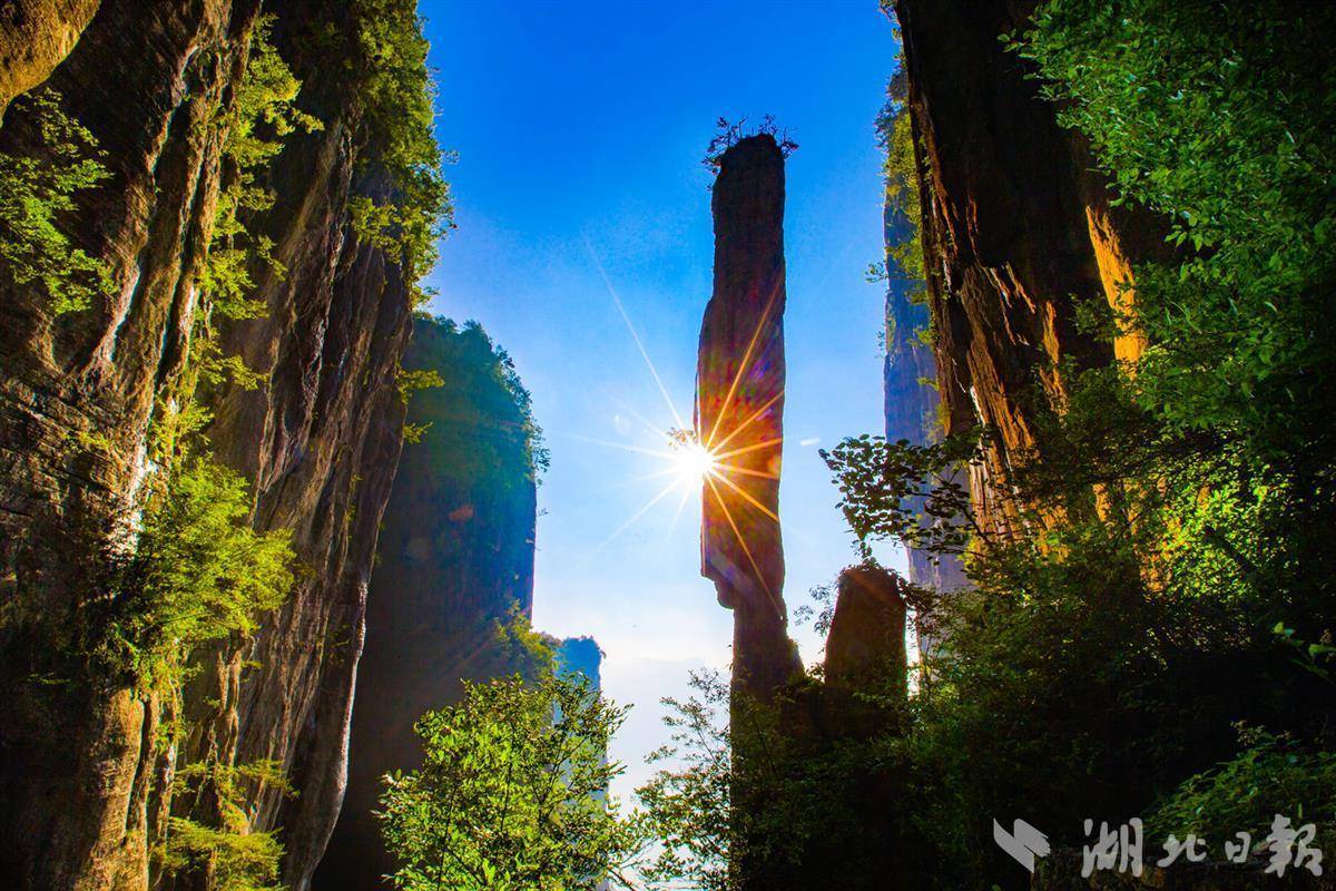 盛大网投